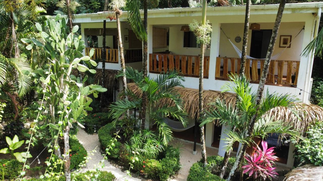 Colibri Apartments - 4 Min Walk To The Beach! Playa Santa Teresa  외부 사진