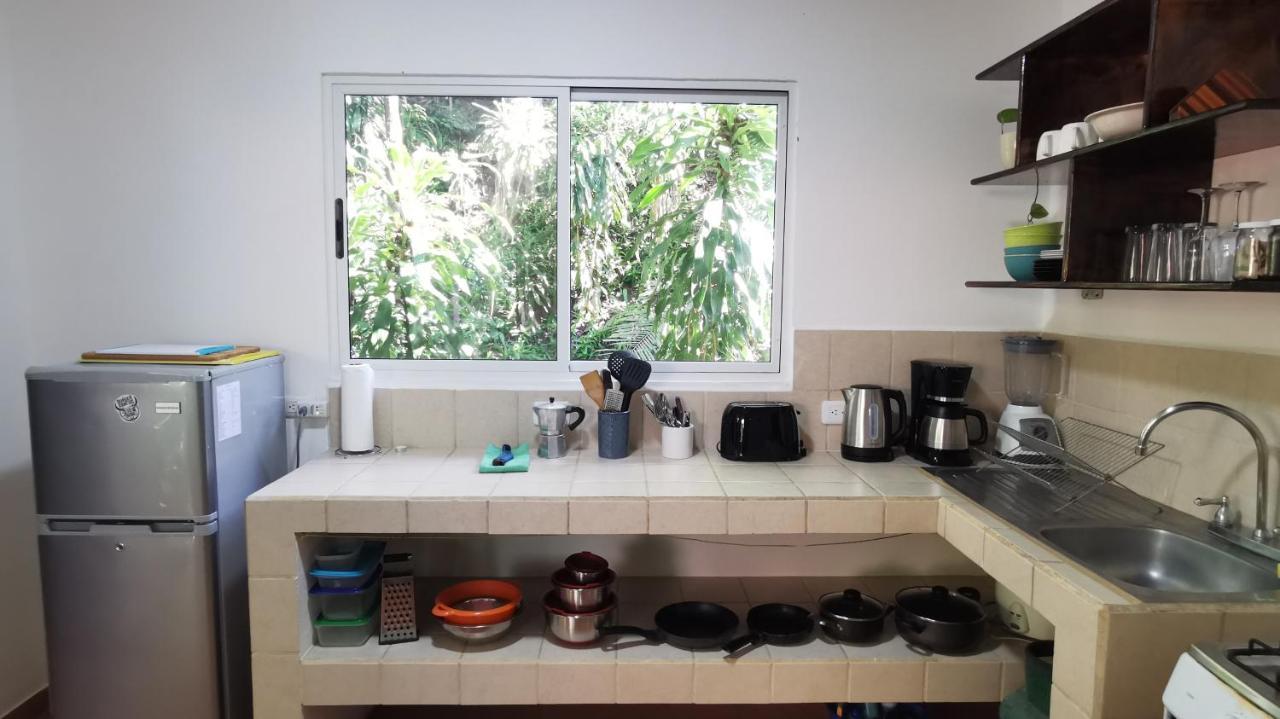 Colibri Apartments - 4 Min Walk To The Beach! Playa Santa Teresa  외부 사진