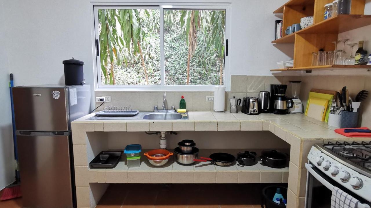 Colibri Apartments - 4 Min Walk To The Beach! Playa Santa Teresa  외부 사진