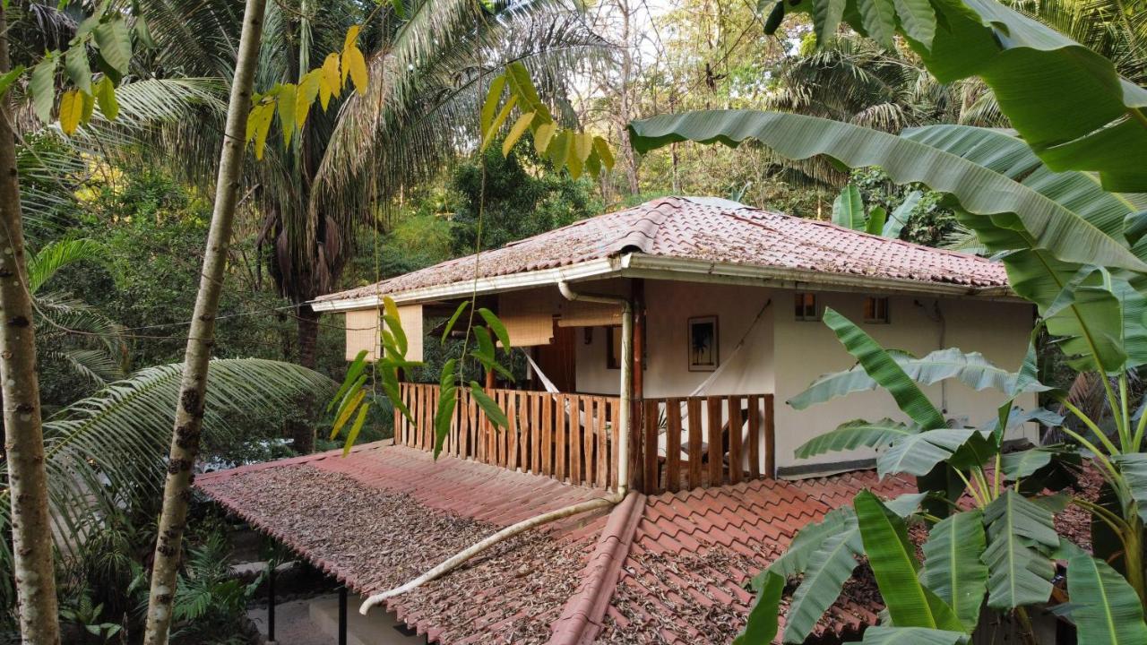 Colibri Apartments - 4 Min Walk To The Beach! Playa Santa Teresa  외부 사진