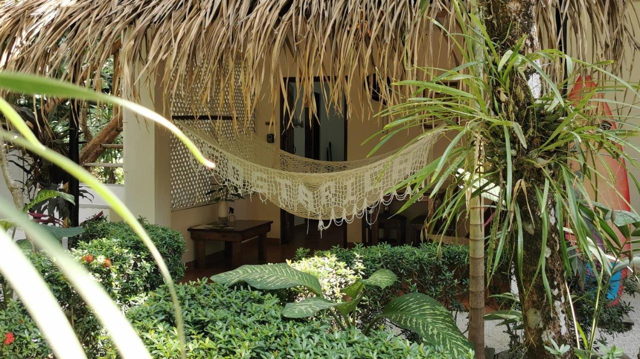 Colibri Apartments - 4 Min Walk To The Beach! Playa Santa Teresa  외부 사진