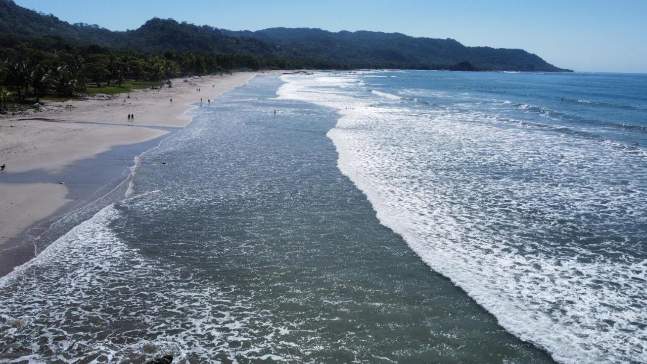 Colibri Apartments - 4 Min Walk To The Beach! Playa Santa Teresa  외부 사진