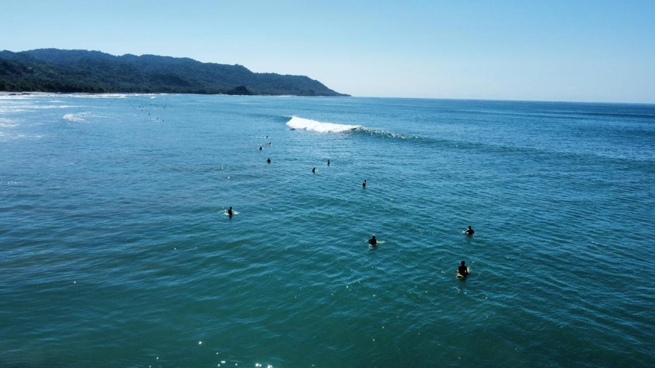 Colibri Apartments - 4 Min Walk To The Beach! Playa Santa Teresa  외부 사진