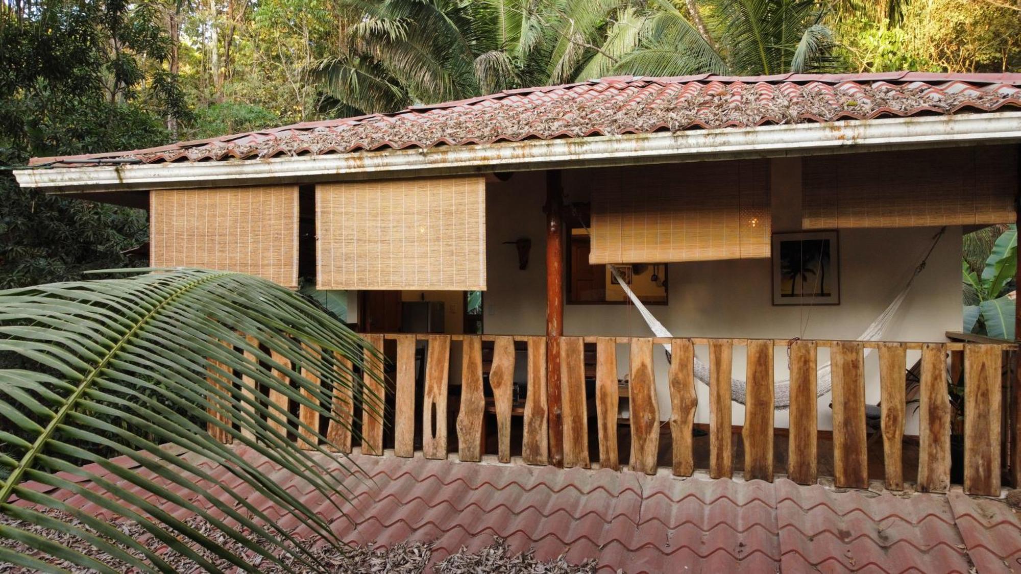Colibri Apartments - 4 Min Walk To The Beach! Playa Santa Teresa  객실 사진