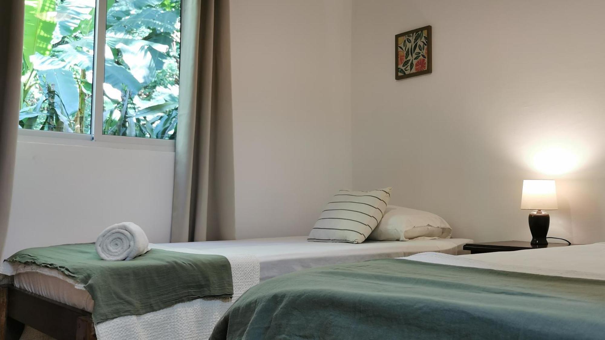 Colibri Apartments - 4 Min Walk To The Beach! Playa Santa Teresa  객실 사진