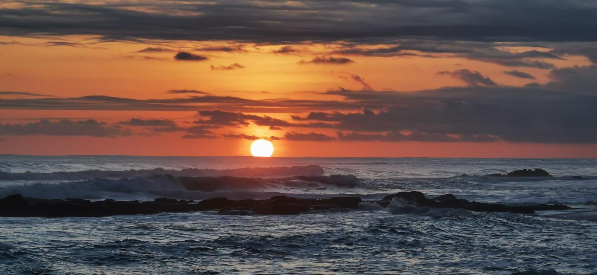 Colibri Apartments - 4 Min Walk To The Beach! Playa Santa Teresa  외부 사진