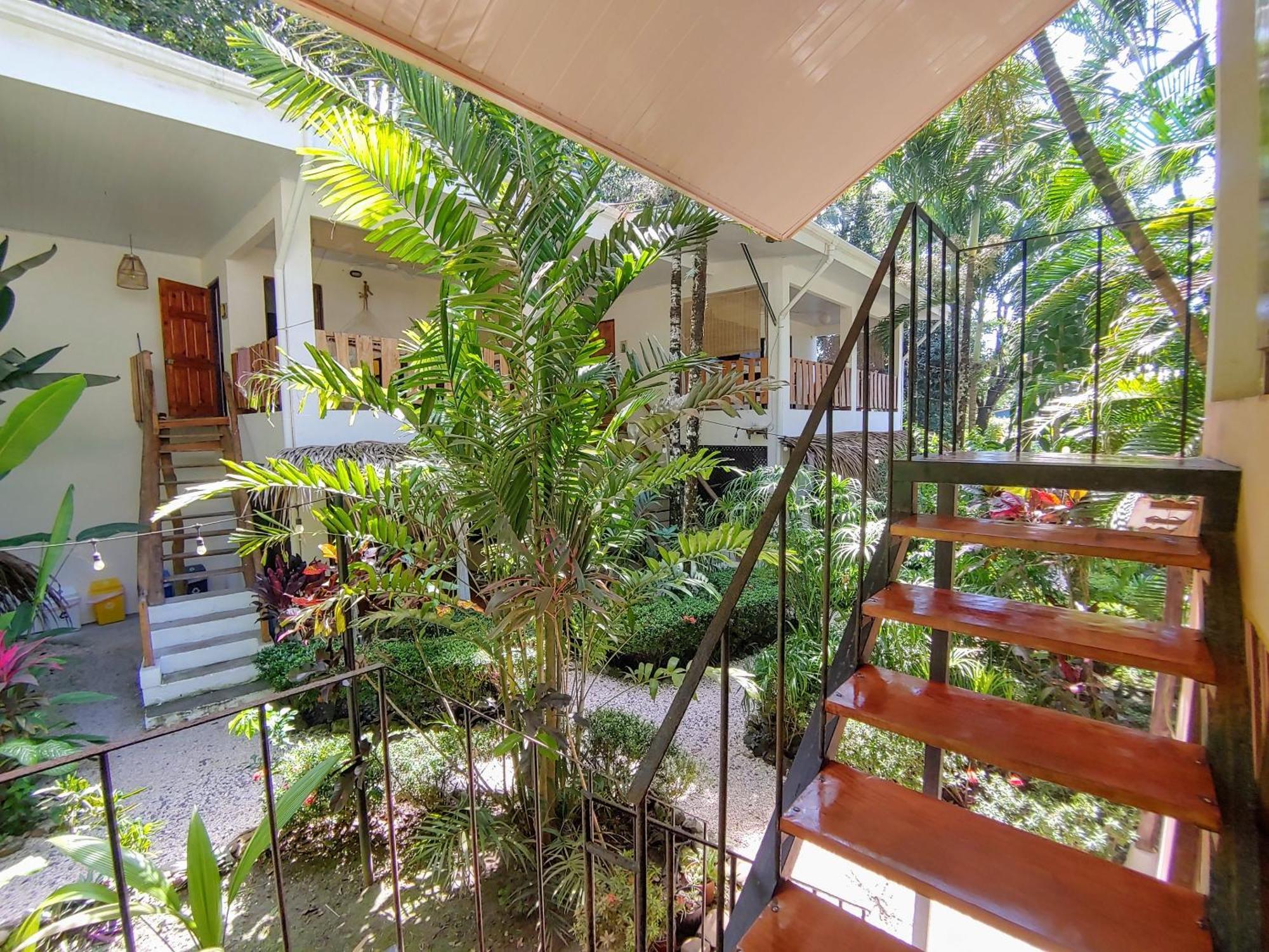 Colibri Apartments - 4 Min Walk To The Beach! Playa Santa Teresa  외부 사진